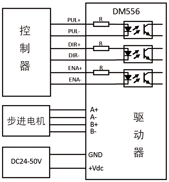 DM556-05.jpg